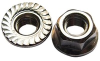 1/2-20 HEX FLANGE NUT SS SERRATED